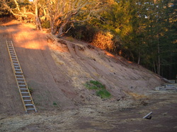 Hill landscape for erosion control.