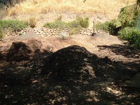 Silicon Valley lawn removed and readied for xeriscape.