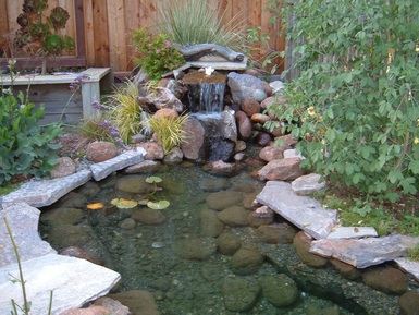 Pond and waterfall in rear of home.