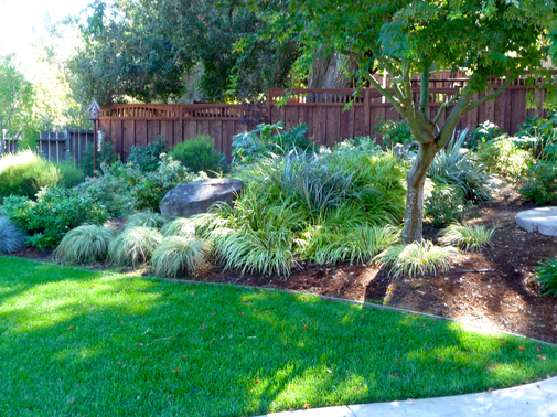 Back yard of Santa Cruz, CA home featuring an award winning landscape design, contracted by Earth Art.