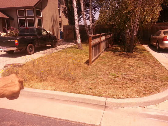 Front yard with dead grass and dry dirt before landscaping by Earth Art.