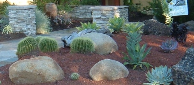 Water-wise xeriscape with rocks, cactus, shrubs, stone path.